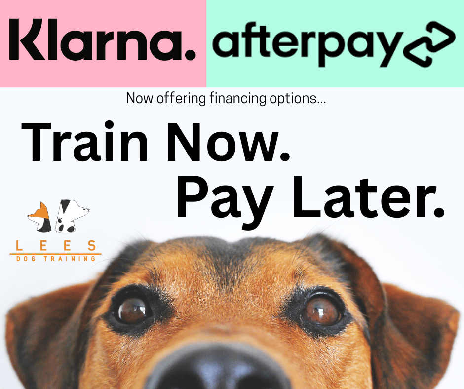 Lee's Dog Training offers financing through Klarna and Afterpay
