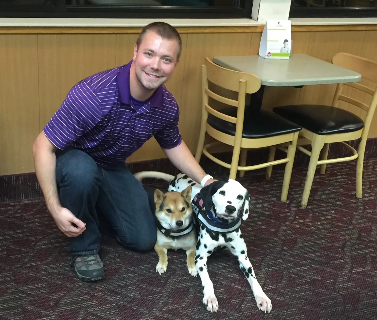Dogtor Lee crouched beside a Dalmatian and a Shiba Inu holding a calm sit inside a restaurant