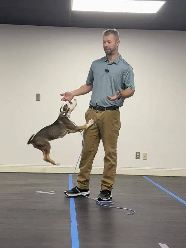 Lee Seibold in the training room with a puppy jumping up to him on cue